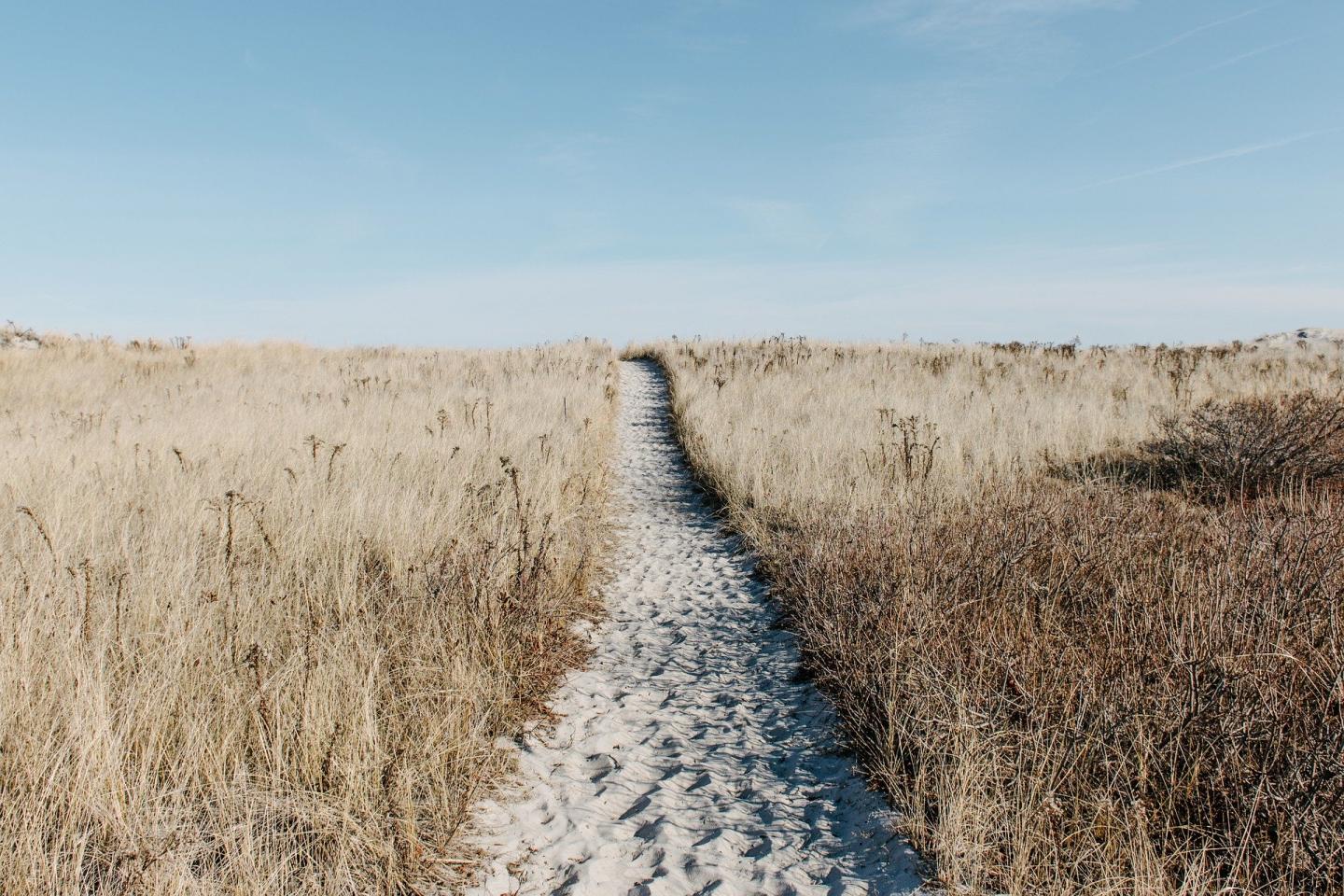 La sophrologie le chemin du bonheur